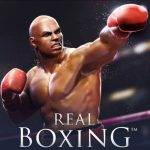 Real Boxing LOGO