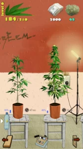 Weed Firm MOD APK 2023 latest v3.0.71 (Unlimited Money) 2