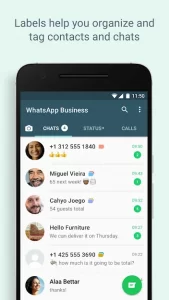 gb whatsapp business 1 169x300 - WhatsApp Business Mod Apk Latest 2022 v2.22.13.76 (YO, GB, FM, SAM)