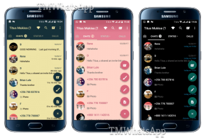 TM WHATSAPP 2023 Latest v8.80 (Official For Android) 3