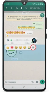 King WhatsApp 2023 Latest v25 (Download Official App) 4